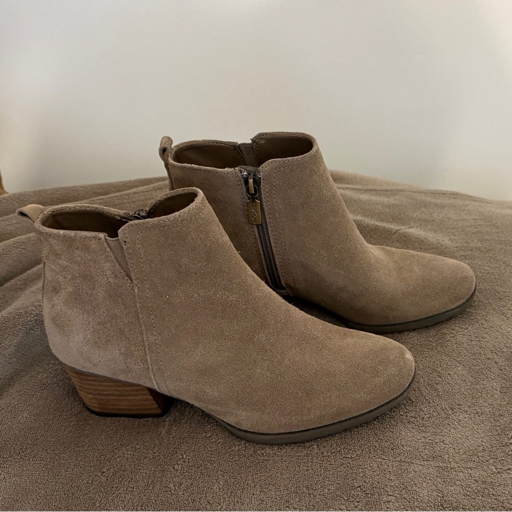 Women's Brown Suede Aqua College Ankle Boots